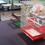 IMG_20260409_081347 (15)